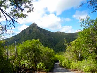 Mt. Christoffel