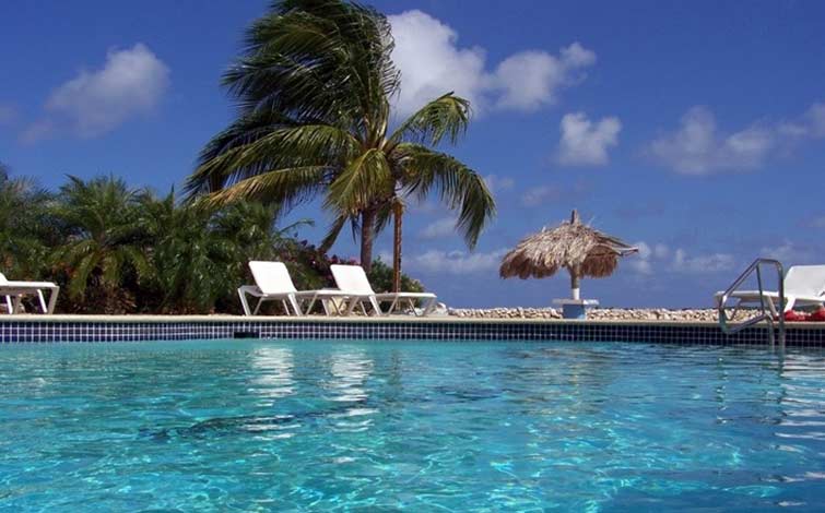 Swimming Pool at Marazul Dive Resort